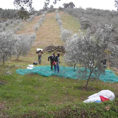 Casa Do Souto 펜션 *