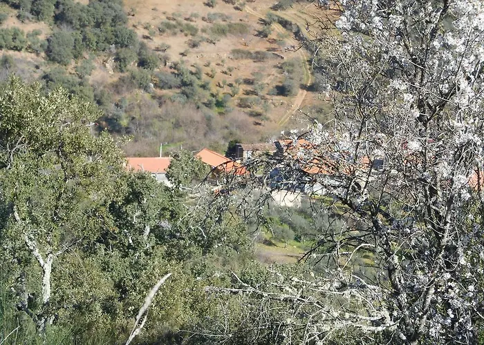 펜션 Casa Do Souto Quinta do Souto