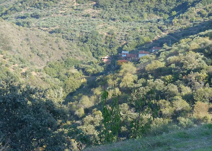 펜션 Casa Do Souto *