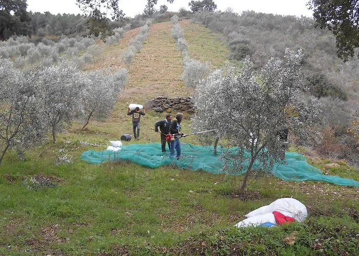 Σπίτι διακοπών Casa Do Souto *
